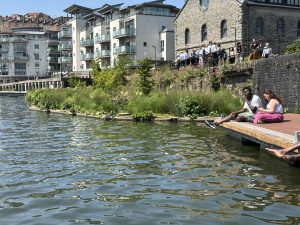 People sitting beside a beautiful floating wetland in Bristol Harbour