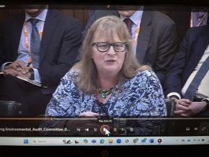 Jo Bradley speaking at the Environmental Audit Committee meeting