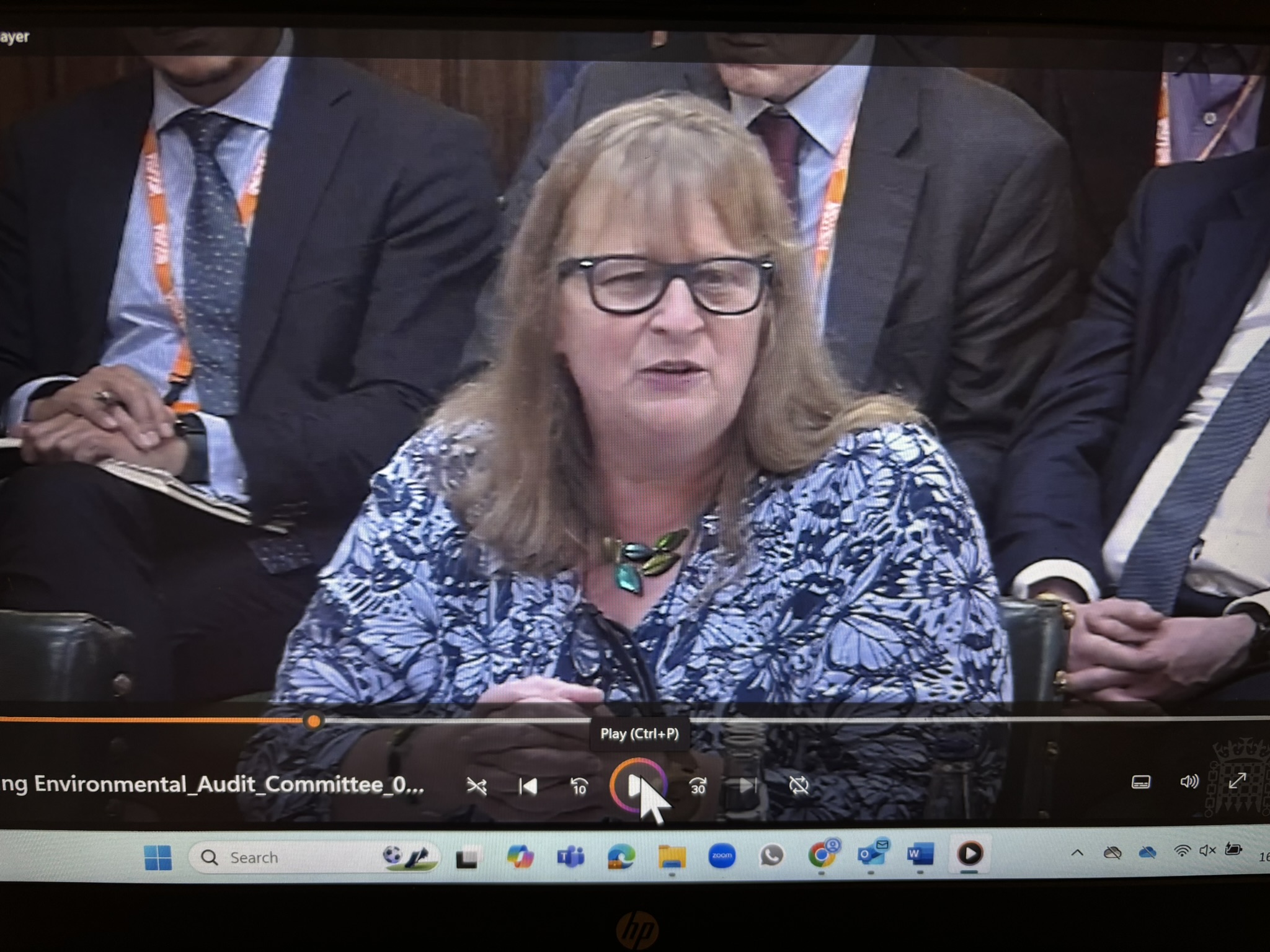 Jo Bradley speaking at the Environmental Audit Committee meeting