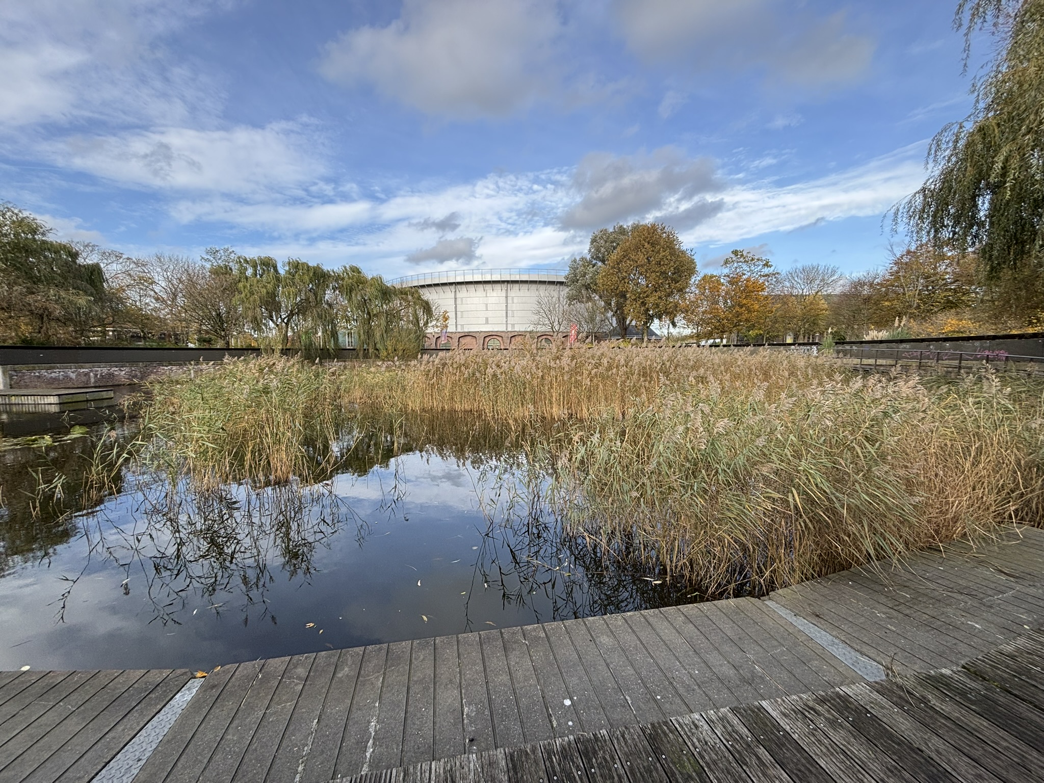 The aquatic garden in the old gas tank in Westerpark, Amsterdam was gorgeous in the afternoon sunshine.