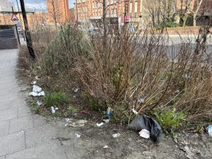 Rubbish collected in a raingarden in Sheffield