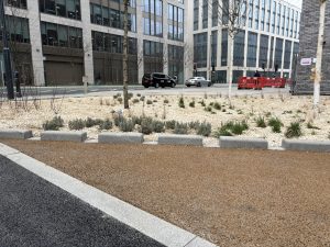 A new raingarden in Leeds