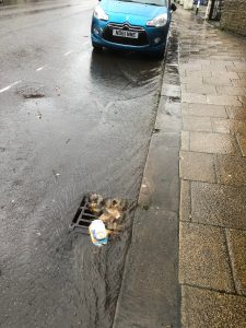 Urban runoff rushing down a street