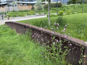 Old historical artefacts were included in the landscaping